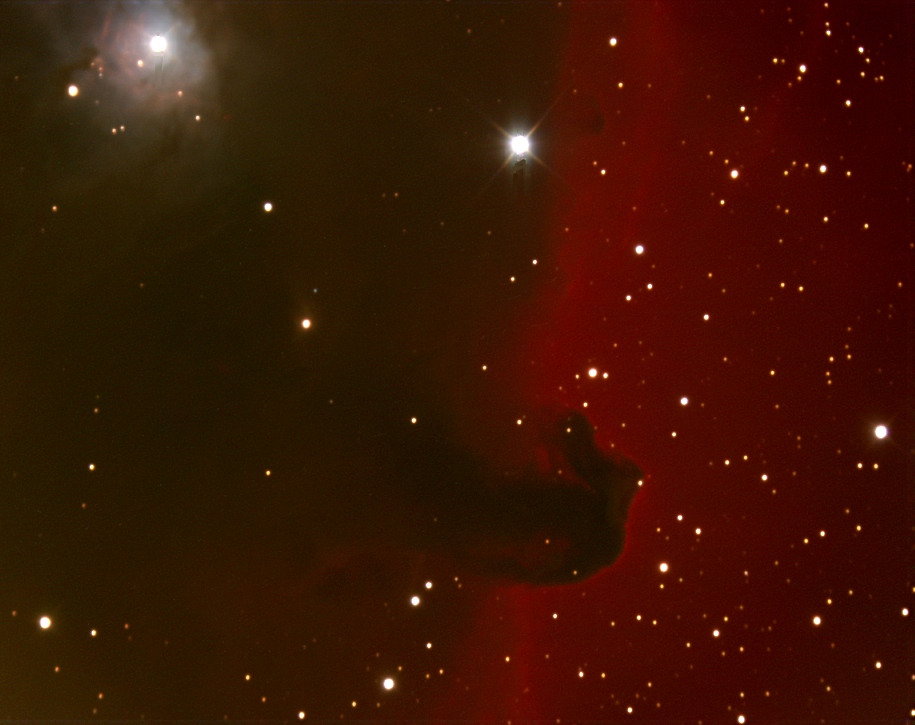 The Horse Head Nebula; CCD image thru 20 inch