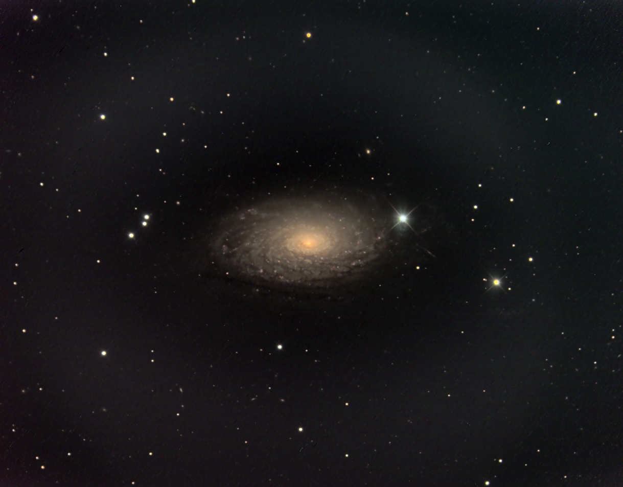 Spiral Galaxy M-63; CCD image thru 20 inch