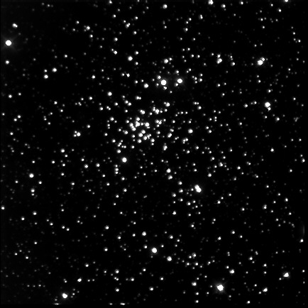 Open Star Cluster NGC 1907; CCD image thru 20 inch