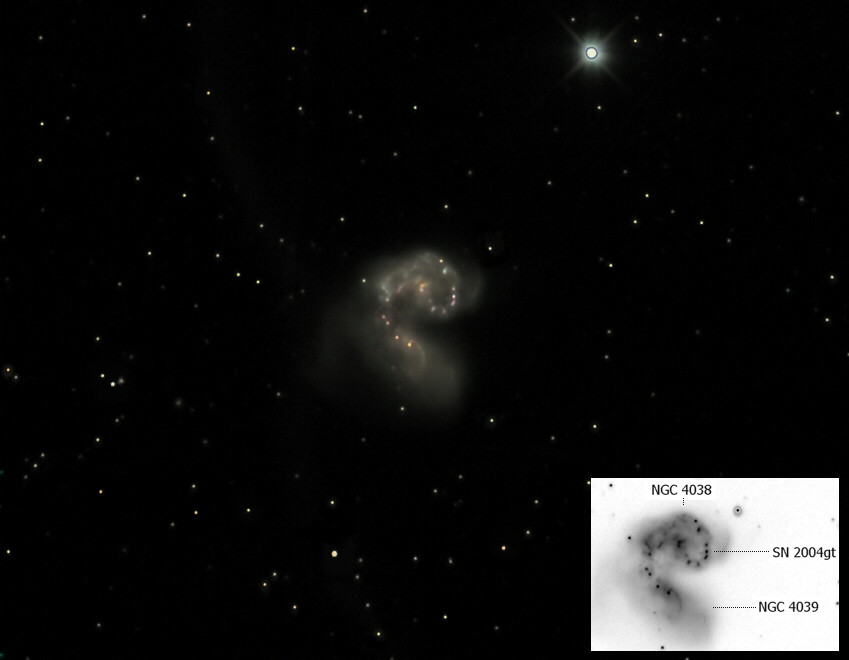 NGC 4038 & NGC 4039