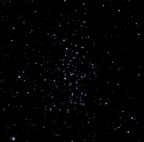 Open Star Cluster NGC 6802; CCD image thru 20 inch