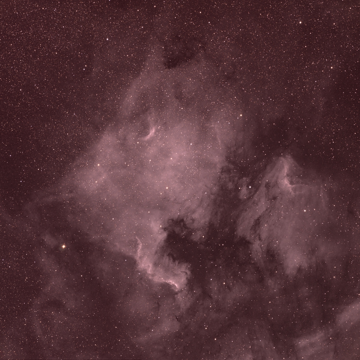 North American and Pelican Nebulae