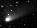 neat052004-2_0