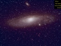 m31