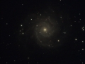 m74-col
