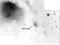 m78neg