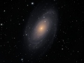 m81