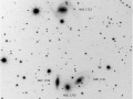 n1721neg