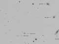 n2929neg