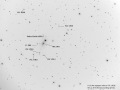 n6051neg