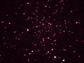 n6366col