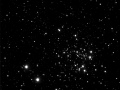 n663bw